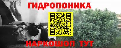 индика Чебоксары